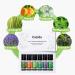 Casida Essential Oils Set - 100% Natural Aromatherapy Oils for Diffuser Humidifier Skin Care & Massage - 6x10ml - Buy Online on GoSupps.com