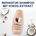  Schauma Schauma 2 x 2 x 400 ml Repair and Care Shampoo Repair Hair and Flexibility Repair Shampoo for Damaged and Dry Hair - Buy Online on GoSupps.com