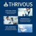 Thrivous Surge - Jitter-Free Caffeine Pills with L-Theanine & Ginseng | 100mg Caffeine 200mg L-Theanine | Natural Nootropic Supplement - 60 Capsules - Buy Online on GoSupps.com
