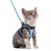 Rabbitgoo cat dishes cat line set cat dishes with leash dishes cats outbreakingly adjustable soft with reflective stripes for cats kitten cat harness leash light blue s (1 Pack) light blue