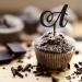 Letter A Cupcake Toppers Monogram Initial Last Name Glitter Black For Wedding Engagement Party Supplies Rustic Reusable Floral Wreath Customize Your Own Cupcake Toppers Engagement Gifts 6PCS Style-4 - Buy Online on GoSupps.com