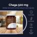 NMM Sp z oo Vitalers Chaga 500 mg 60 capsules vegan 2 months supplementation no preservatives pure composition - Buy Online on GoSupps.com