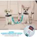 Slowton 2-in-1 Dog Car Seat Belt - Tangle-Free Durable & Adjustable Reflective Dog Safety Belt for Small Dogs - Azure Blue - Buy Online on GoSupps.com