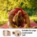 12 Pack Toe Spacers for Women and Men - Overlapping Toes, Bunions, Hallux Valgus Corrector - Zen Toes - Buy Online on GoSupps.com