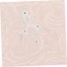 Mikinona Microblading Ruler Eyebrow Stencil Grooming Stencil Shaper Brow Stencils Eyebrow Ruler Template Mold Eyebrow Trimming - Buy Online on GoSupps.com