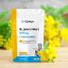 Dr Corbyn St. John's Wort 500mg & Magnesium 200mg Supplement - 60 Vegan Tablets | UK Made, Maximum Strength Blend for Diet Support - Buy Online on GoSupps.com