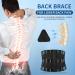 Back Brace for Lower Back Pain Relief | Sciatica & Herniated Disc Support | Lumbar Pad for Home & Work Large (37.4 -45.3  - Buy Online on GoSupps.com