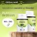 Birch 230 mg - 100 capsules - Orgaliane - Buy Online on GoSupps.com
