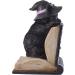 Buy Colorful Witch Cat Bookends - Perfect for Book Lovers & Halloween Decor | International Shipping Available - Buy Online on GoSupps.com