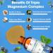 MABEFY Triple Complex Magnesium Supplement | 500mg Glycinate  Taurate & Malate | High Absorption Liquid Drops for Heart  Muscle & Sleep | 2 Fl.Oz - Buy Online on GoSupps.com