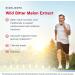 Buy Jarrow Formulas Wild Bitter Melon Extract | 60 Tablets - Best Price & Quality - Buy Online on GoSupps.com