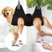 Premium Dog & Cat Care Hammock Set - Upgraded Nail Cutter & Ear/Eye Care for Small & Large Pets - Buy Online on GoSupps.com