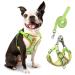 Rennaio dog harness no pull adjustable puppy dishes with 2 linen clips ultra comfortable chest harness and leash set for small and medium-sized dogs (green m) green M
