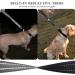 Buy Vivaglory Short Dog Leash - 46cm Training Leash for Medium & Large Dogs - Durable Black Traffic Leash - Buy Online on GoSupps.com