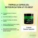 PADMURA Organic Triphala Powder Capsules 1000mg | USDA Organic Certified | Non GMO | Gluten Free | Vegan - 120 Veg Capsules - Buy Online on GoSupps.com