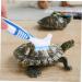 Turtle Shell Cleaning Brush Reptile Cleaning Brush Denture Brush for Shell Grip Cleaning Brush Double-side Tortoise Food Bristle Brush Household Plastic - Buy Online on GoSupps.com