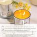 White Peach Oolong Scented Candle - 5.3Oz Natural Soy Wax Aromatherapy Jar | Long Lasting Fragrance for Home Meditation & Yoga | Perfect Gift for All - Buy Online on GoSupps.com