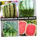 FELTECHELECTR Pumpkin Tools Watermelon Growing for Tool Gardening Supplies Fruit Former Cucumber 15x15cm Transparent - Buy Online on GoSupps.com