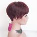 HOTKIS Burgundy Short Pixie Wig for Black Women | Human Hair Short Pixie Cut Wigs for African Americans - Buy Online on GoSupps.com