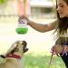 19-Piece Dog Toy Set - Durable Cornitoo Rope Balls & Chew Toys for Small Medium & Large Dogs - Interactive & Tooth Training - Buy Online on GoSupps.com