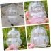 VANZACK Novel Shaping Mold Fruit Ginseng Vegetable Shaping Mold Pear Forming Mold Multi-Function Shaping Mold Tool Small - Buy Online on GoSupps.com