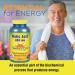 Nature's Life Malic Acid 800 mg - 250 Veggie Caps | Natural Energy Boost - Buy Online on GoSupps.com