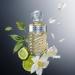 Rochas Secret de Rochas Oud Myst re Eau De Parfum 3.3 Fl Oz 1 Count (Pack of 1) - Buy Online on GoSupps.com
