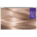 L'Or al Paris L'Oreal Paris Excellence Cool Creme Permanent Dye 8.11 Light Blonde Ash 260g - Buy Online on GoSupps.com