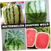 Generic Vegetables Tool Watermelon Grow Mold Vegetable Growth Molds Large Moss Pole Fruit Modeling Big Rod 15x15cm Transparent - Buy Online on GoSupps.com