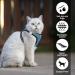 Shop Lollanda XS Blue Cat Dishes with Leash & Adjustable Soft Kitten Vest - Reflective Stripe Design for Small Cats - Buy Online on GoSupps.com