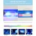 Lanomi Mini Reading Glasses - Blue Light Filter Compact & Foldable Aid for Men & Women - Small Glasses with Black Pocket Etui (2.0x) - Buy Online on GoSupps.com