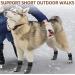 PUPTECK Double Side Anti-Slip Dog Socks - 2 Pairs Medium Grey - Buy Online on GoSupps.com