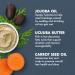 Shea Moisture Jojoba & Ucuuba Butter Braid Condition Gel 12 oz with Carrot Seed Oil - Buy Online on GoSupps.com