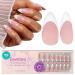 Beetles Pre-French Tips Gel Nail Tips- 150Pcs in 15 Sizes French Tip Press on Nails Nude Pink Medium Almond Pre-applied Tip Primer & Base Coat No Need to File Fake Nails for Nail Art DIY 0-0-150Pcs French Tips