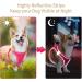 Adjustable Reflective Dog Harness for Small Dogs - Breathable Anti-Train Design Ideal for Walking & Running | Heele - Rose Red (1 Pack) - Buy Online on GoSupps.com