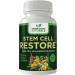 GREEN VALLEY NATURALS - Stem Cell Restore - Regenerative Healing - Healthy Aging Reset - Brain and Cognitive Support - Cartilage, Heart & Kidney Repair - Organic Tibetan Sea Buckthorn (1 Bottle, 60 Count)