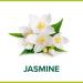 Buy Palmolive Magic Softness Jasmine Foam Soap 250ml - International Shipping Available - Buy Online on GoSupps.com