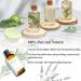 Wandering Breeze & Roy Tranquility Essential Oil - 1.69 Fl Oz Aromatherapy Diffuser Oil | Hotel Collection Inspired by Hilton & Westin - Buy Online on GoSupps.com