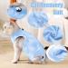 Lianzimau Katzenbody: Medical Cat Suit for Post-Operation Recovery | Anti-Losing Light Blue Clothing for Cats - Buy Online on GoSupps.com
