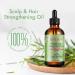 Organic Rosemary Oil for Hair Growth & Scalp Strengthening - 2 Fl Oz (60 ml) - Nourishing Hair Care Treatment - Aromatherapy for Skin & Face - Buy Online on GoSupps.com