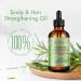 Rosemary Oil For Hair Pure Natural Rosemary Oil for Hair Growth Treatment For Damaged Hair & Dry Skin - Buy Online on GoSupps.com