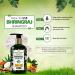 Himalayan Organics Bhringraj Ayurvedic Therapeutic Shampoo - Hair Regrowth & Fall Control - 200ml - Buy Online on GoSupps.com