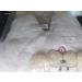 Newborn Baby Cartoon Bear Snowsuit Winter Coat Fleece Hooded Romper Jumpsuit 0-3 Months - Khaki Dog - Buy Online on GoSupps.com