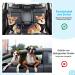 Buy Slowton 2-in-1 Dog Car Seat Belt | Durable Adjustable & Reflective - Ideal for Medium Dogs | International Shipping - Buy Online on GoSupps.com