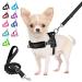 Eyein no-pull dog harness with leash dishes with soft padded reflective adjustable breast dishes for puppies small dogs large dogs pets cats (black m) black M