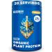 BIRDMAN Falcon Organic Vegan Protein Powder Vanilla, 24g Protein, Sugar Free, Probiotics, Low Carb, Keto Friendly, Dairy Free, Lactose Free, Non Whey, Plant Based Pea Protein Powder - 20 Servings Vanilla 20 Servings (Pack of 1)