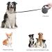 Dog Lead Retractable 5M Extendable Dog/Pet Leads/Leash with Waste Bag Dispenser and Poop Bags Extendable Tape Lead Belt for Dogs Pets Puppy up to 50KG/5m (110 lbs/16ft) 50kg-with waste bag Dispenser - Buy Online on GoSupps.com