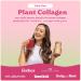 Rheal Plant Collagen Increase Collagen Production for Healthier, Younger Looking 150g - Buy Online on GoSupps.com