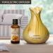 Calendula Oil 1.7 Fl Oz (50ml) - 100% Pure & Natural - Infused with Calendula Officinalis Flower Extract - Almond Oil Base - Benefits for Skin, Nails, Hair - by Aromatika - Buy Online on GoSupps.com