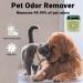 Cat Litter Deodorizer - 99% Odor Neutralizer & Intelligent Odor Remover Device | Portable Air Purifier for Cats & Dogs - Buy Online on GoSupps.com